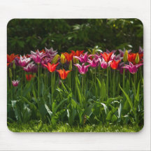 Tulips Mousepad | Mousepad Tulpen