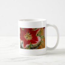 tulips mugs