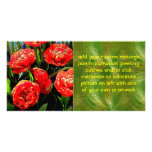 Tulips Of Many Petals Custom Photo Card