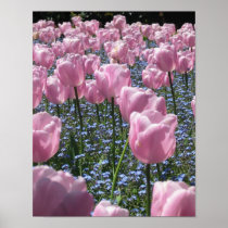 Tulips Print