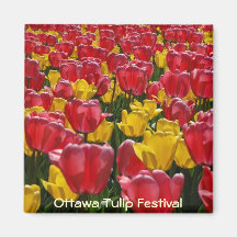 Tulips Refrigerator Magnet