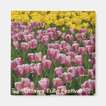 Tulips Refrigerator Magnet