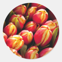 tulips round sticker