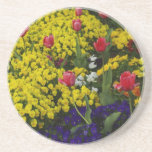 Tulips & Spring Flowers Coaster