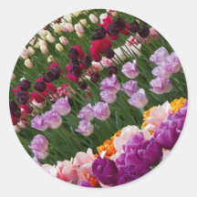 Tulips Stickers