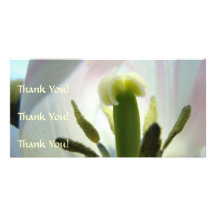Tulips Thank You Card Thank You Photocard Thanks Photo Greeting Card