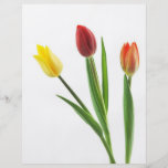 Tulips Trio Floral Design Flyers