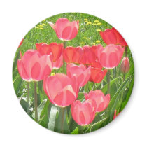 tulipsgarden fridge magnets