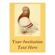 Tumbler Pigeon:  LFCL Mealy Personalized Invitations