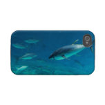 Tuna underwater