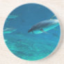 Tuna underwater