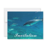 Tuna underwater