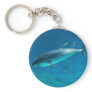 Tuna underwater