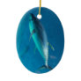 Tuna underwater