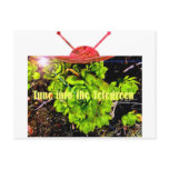 Tune into the Telegreen Post Card
