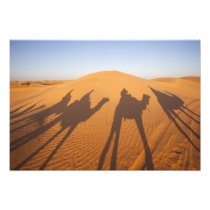Tunisia, Ksour Area, Ksar Ghilane, Grand Erg 4