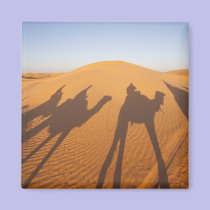 Tunisia, Ksour Area, Ksar Ghilane, Grand Erg 5 magnets