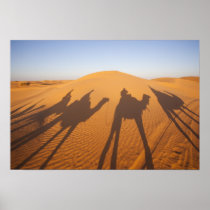 Tunisia, Ksour Area, Ksar Ghilane, Grand Erg 5