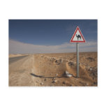 Tunisia, Ksour Area, Ksar Ghilane, Oil Pipeline Postcard