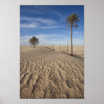 Tunisia, Sahara Desert, Douz, Great Dune, dawn