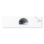 Tunnel By Bernadette Sebastiani Bumper Stickers