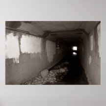 Tunnel, Dayton, Nevada Poster