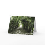 Tunnel of Green Greeting Cards