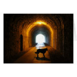 tunnel silhouetted dog greeting cards