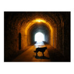 tunnel silhouetted dog postcard