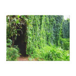 Tunnel tropical de vigne toiles tendues