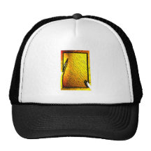 Turbo Gold Logo Hat