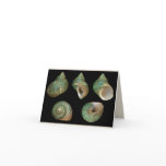 Turbo Imperialis Greeting Cards