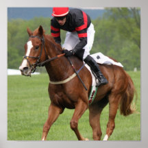Turf Horse Race Poster