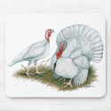 Turkey:  Beltsville Small White mousepads