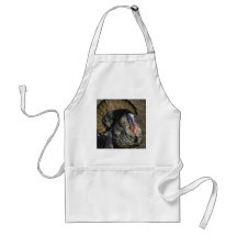 Turkey Day Strut Aprons
