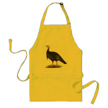 Turkey:  Eastern Wild Tom Aprons