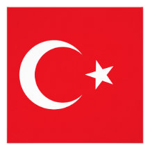 Turkey Flag Invitation