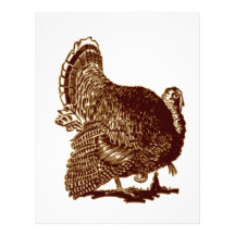 Turkey Letterhead