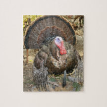Turkey Puzzle