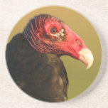 turkey vulture drink coasters