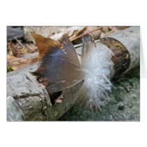 Turkey Vulture Feather Coordinating Items Card
