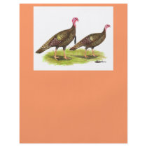 Turkey:  Wild Bronze Flyers
