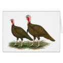 Turkeys:  Chocolate cards