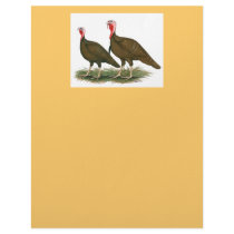 Turkeys:  Chocolate Letterhead