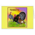 Turkeys:  Colorful Thanksgiving! cards