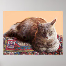 TURKISH CAT ON THE OLD CARPET POSTERS