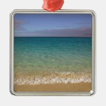 Turks and Caicos, Providenciales Island, Grace 2 Ornaments
