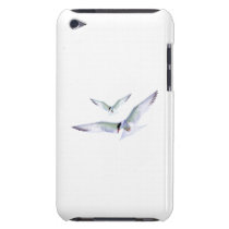 Turn Tern Turn casemate cases