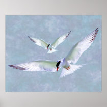 Turn Tern Turn posters