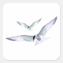 Turn Tern Turn stickers